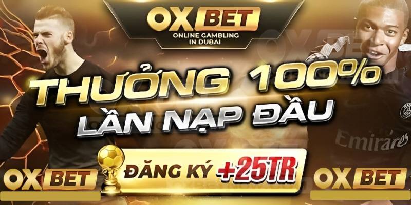 Giới Thiệu Về Oxbet